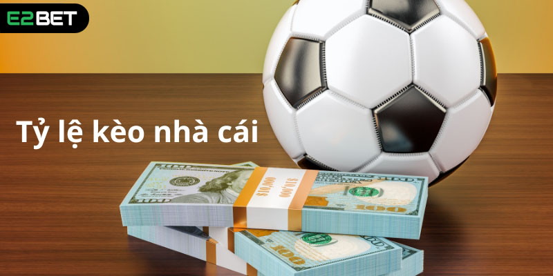 Hướng dẫn cách đọc tỷ lệ kèo nhà cái